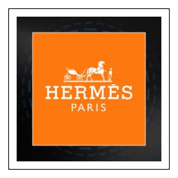 Hermes logo